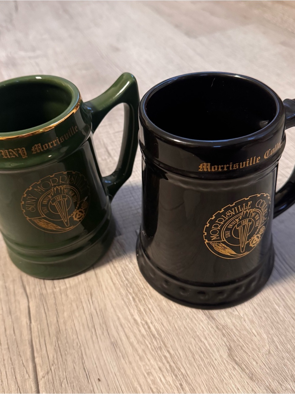 Vtg 90’s SUNY Morrisville Ceramic Large Beer Stein Set College Mugs USA RARE!